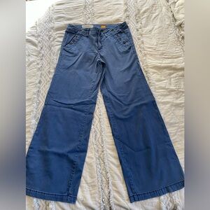 Anthro PILCRO and the LETTERPRESS Blue Cotton Chino Wide Leg Pants size 29